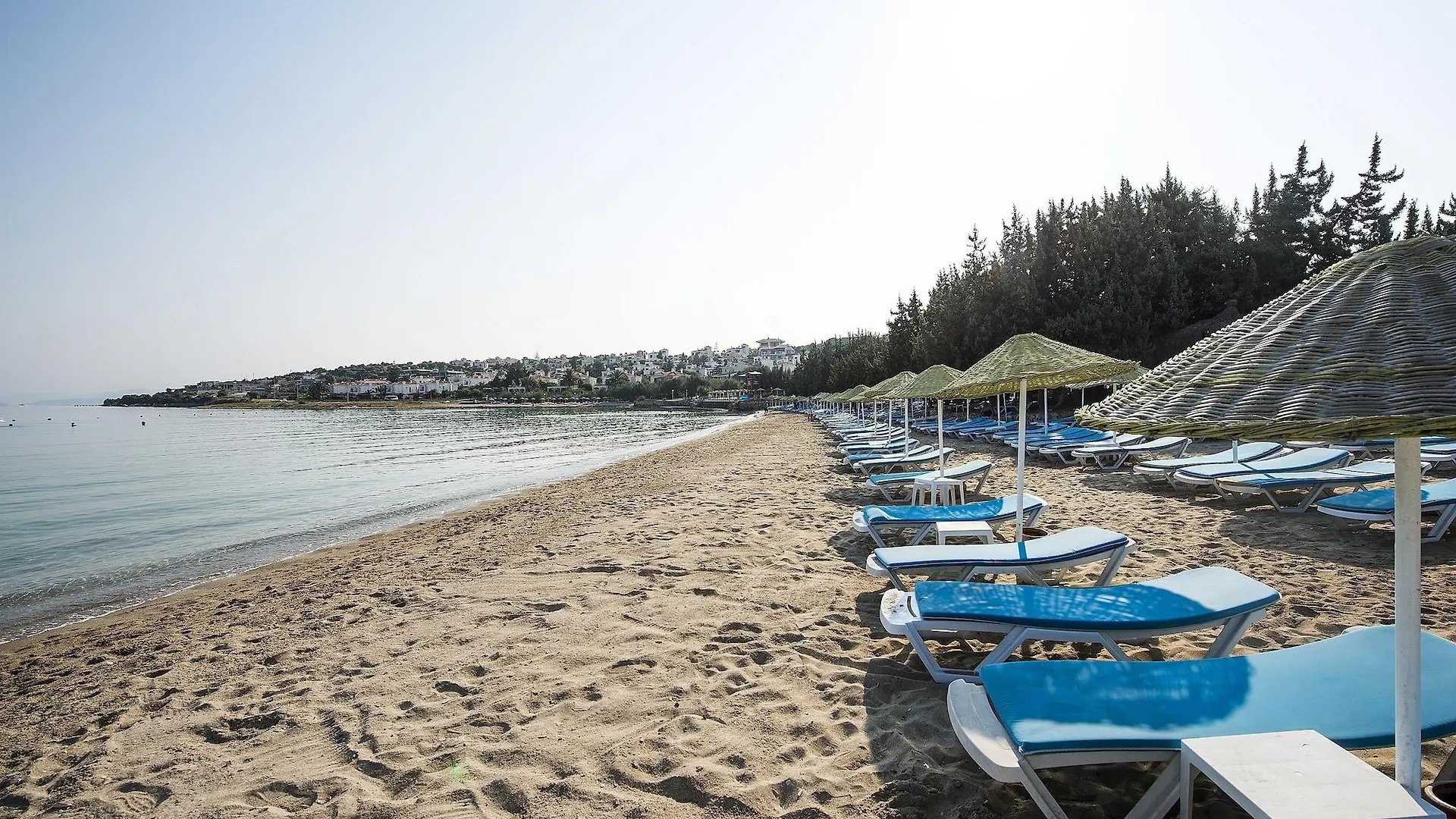 Επικοινωνία με το Altin Yunus Apart Beach Plus